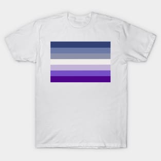 Butch Pride Flag T-Shirt